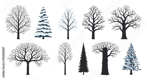 Comprehensive collection of winter tree silhouettes featuring snow-covered pines, bare deciduous branches, and forest evergreens isolated on white background.