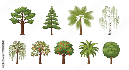 Vector illustration set of diverse trees including oak, pine, palm, birch, weeping willow, apple tree with fruit, and tropical palms isolated on white background.
