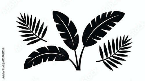 Minimalist vector illustration of black palm tree leaves on white background for design and decoration