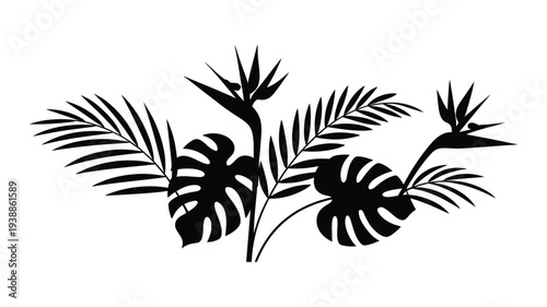 Tropical palm tree leaves and exotic plants in minimalist black silhouette on white background for decoration and design