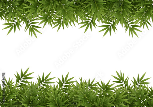 Green Bamboo Leaves Border ...