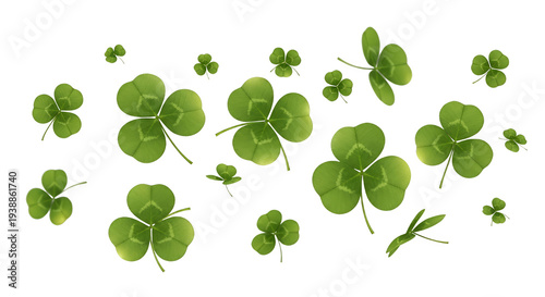 Green Clover Leaves Isolate...