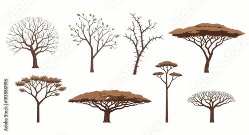 Set of African savanna tree vector illustrations featuring acacia and thorn varieties on white background for nature design, safari themes, and landscape graphics.