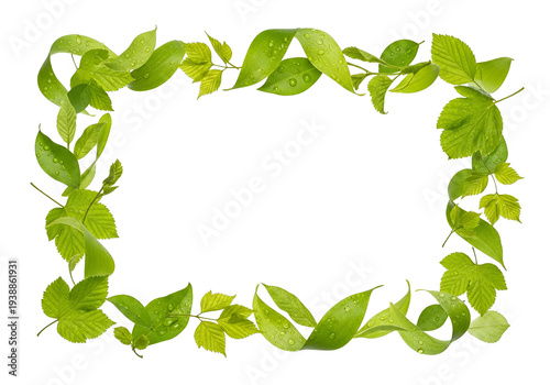 Green Leafy Border With Wat...