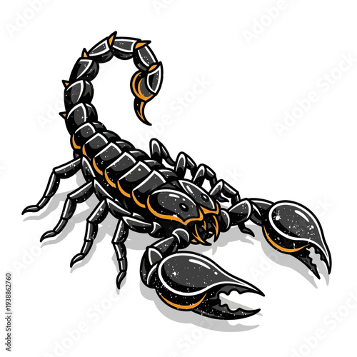 Scorpion Illustration