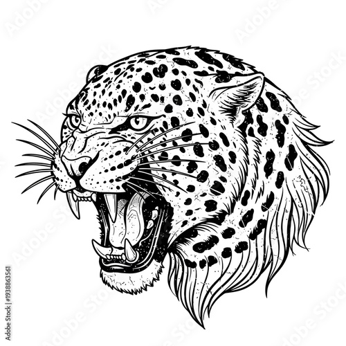 Fierce Leopard Head Illustration