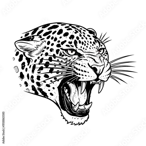 Fierce Leopard Head Roaring, Black and White Illustration