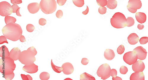 Pink Rose Petals Floating O...