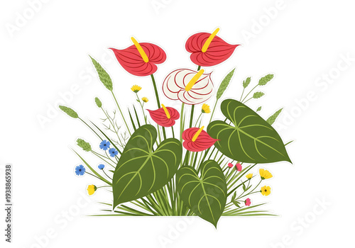 Red And White Anthurium Flo...