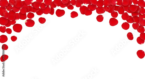 Red Rose Petals Falling Arc...