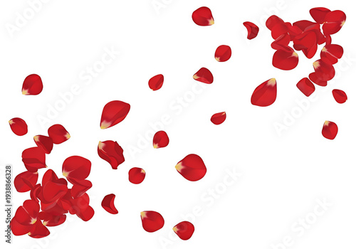 Wallpaper Mural Red Rose Petals Falling Isolated Transparent Background Realistic Photo Torontodigital.ca
