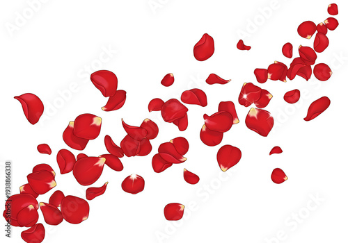 Wallpaper Mural Red Rose Petals Falling Isolated Transparent Background Romantic Element Torontodigital.ca