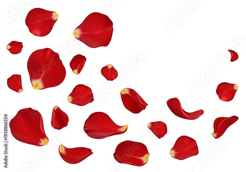 Wallpaper Mural Red Rose Petals Falling Transparent Background Realistic Photo Torontodigital.ca
