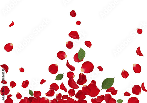Red Rose Petals Falling Tra...