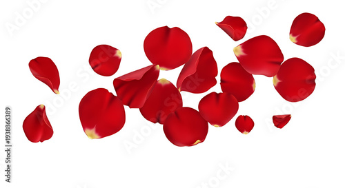 Red Rose Petals Floating Is...
