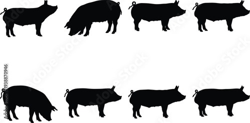 Set of eight black silhouette illustrations of domestic pigs, showcasing different stances and movements, isolated on a white background.