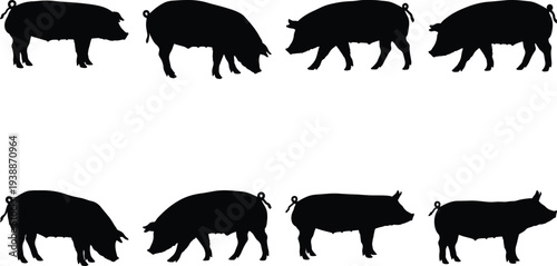 Collection of eight black pig silhouettes in various poses, isolated on a white background, showcasing farm animals and livestock.