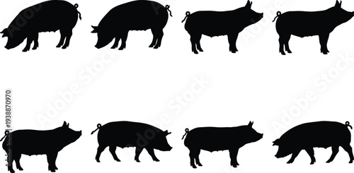 Eight black silhouette vector graphics of pigs demonstrating diverse postures and activities, presented on a plain white background.