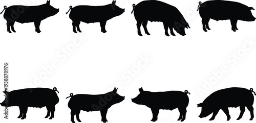 Group of eight distinct black silhouette images of pigs in various poses and actions, cleanly isolated on a white background.