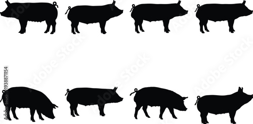 Group of black pig silhouettes in multiple stances and views, perfect for agricultural or farm-themed graphic design projects.