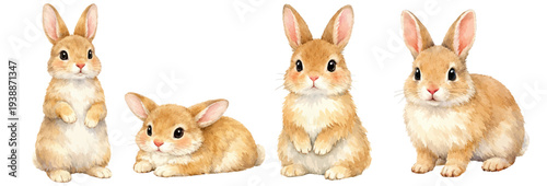 A charming watercolor collection of cute rabbits and fluffy bunny characters for animal illustrations and nursery design.
