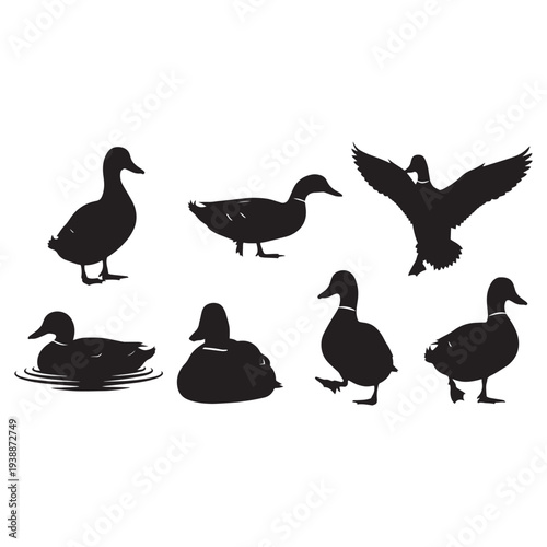Duck Silhouettes Collection Vector Set