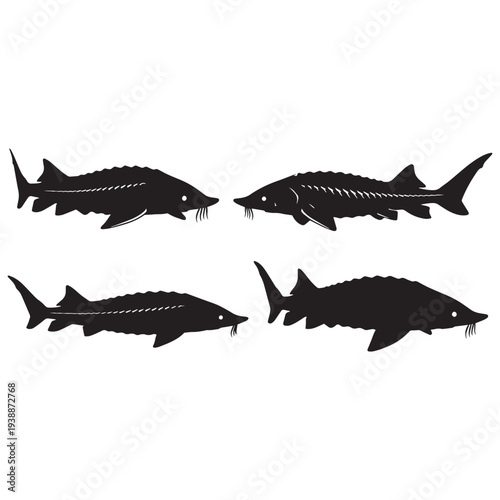 Sturgeon Fish Silhouettes Vector Collection