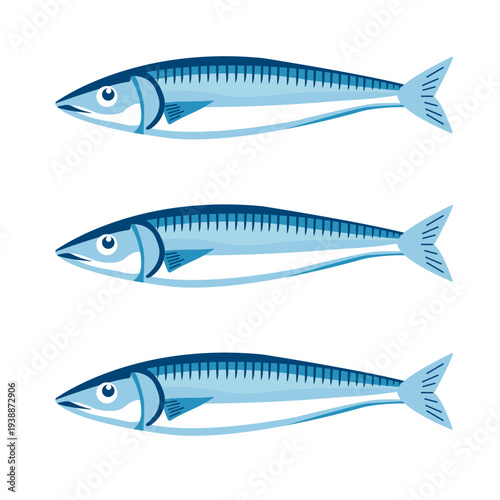Herring flat vector illustration. Ocean fauna delicacy. Seafood, healthy undersea fish. Flat vector illustration isolated on white background.EPS10