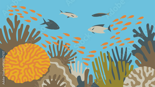 Underwater coral reef fish ocean