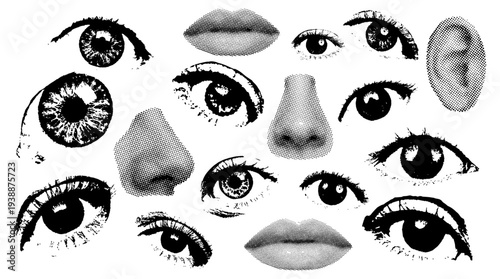 Collage compilation of various black and white isolated human facial features including eyes ears noses and lips