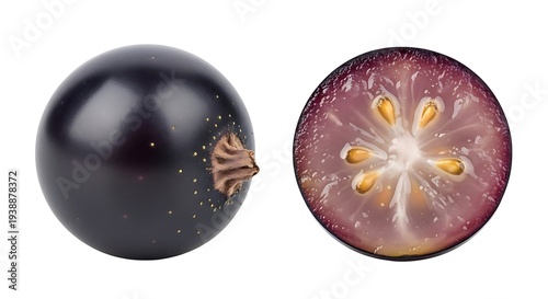 Blackcurrant Fruit Close-up