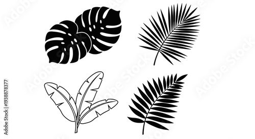 Minimal tropical leaf silhouette vector set featuring 4 botanical variations including monstera leaf, palm leaf, banana leaf, and fern leaf.