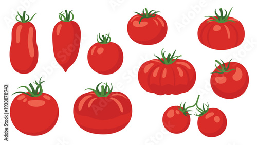 Collection of various red tomato varieties in different shapes and sizes including cherry plum and beefsteak tomatoes.