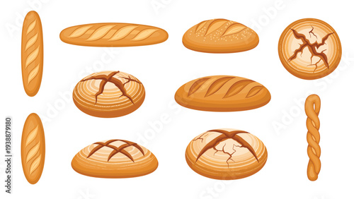 Realistic vector illustrations of various bread types such as baguettes, round loaves, and braided rolls on white.