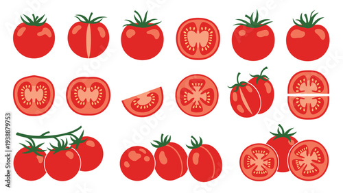 Large collection of red tomato illustrations showing whole fruits, halves, slices, segments, and clusters on branches.