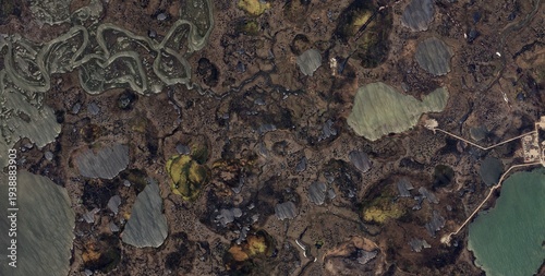 Arctic Wetlands of Russia