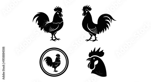 Minimal rooster silhouette logo set featuring 4 farm branding variations including standing rooster, crowing rooster pose, circular emblem badge, and rooster head design.