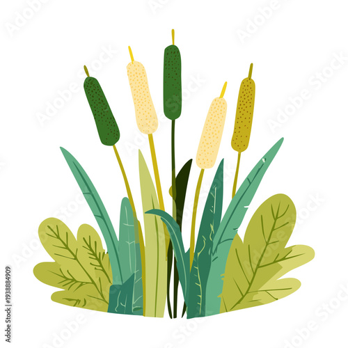 Mixed green and yellow reeds plant illustration for wetland nature and aquatic garden vector art and landscape themes