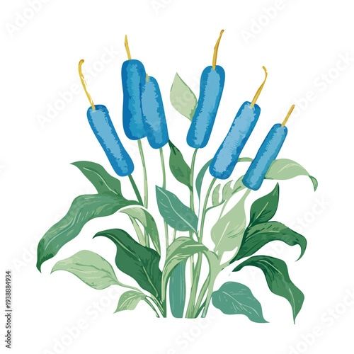 Blue marsh reeds plant illustration with green foliage for pond and wetland nature vector art and scenery designs