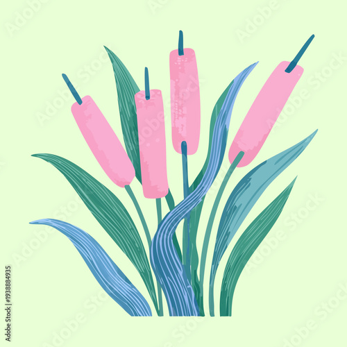 Pink marsh reeds plant illustration with green leaves for colorful wetland and pond nature vector art design projects