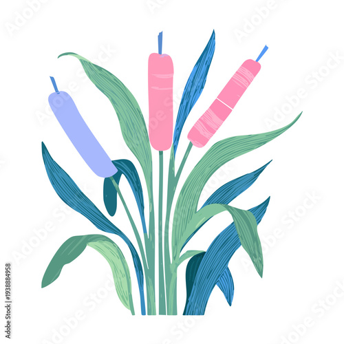 Light blue marsh reeds plant illustration for serene wetland and pond nature vector art and landscape design themes