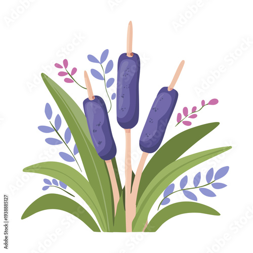 Blue Bulrush Plant Cattail Bunch Growing In Garden For Modern Landscape Design And Color Creative Floral Illustration