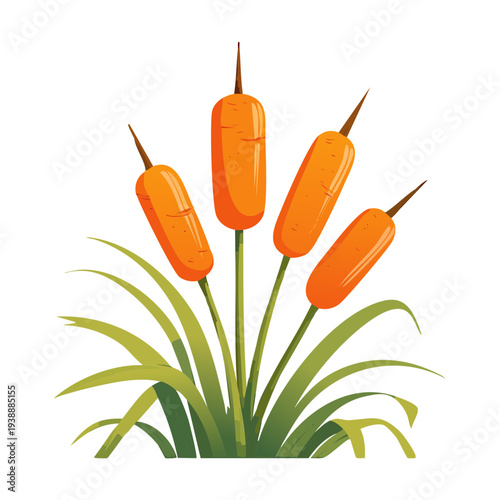Orange Bulrush Plant Cattail Cluster For Autumn Seasonal Harvest And Garden Landscape Design Creative Floral Illustration