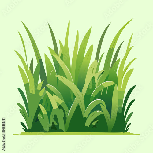 Tall Green Grass Plant For Meadow Landscape Design And Natural Environment Study Creative Art Illustration