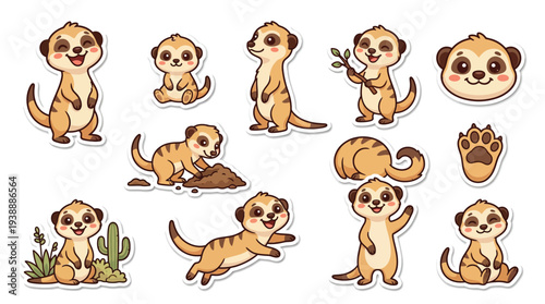 A collection of cute cartoon meerkat illustrations in various playful poses and activities, set against a white background.