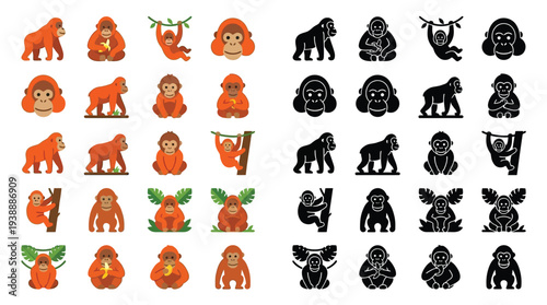 Collection of colorful and silhouette illustrations of orangutans and gorillas in various poses and activities, including climbing, sitting, and interacting with their environment.