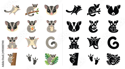 Collection of sugar glider illustrations, featuring various poses, actions, and graphic representations, including both colored and silhouette designs.