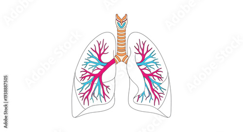 An ornate venetian mask adorned with flowers jewels and golden flourishes