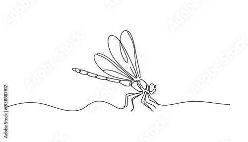 One continuous line illustration of an dragonfly , isolated on white background.