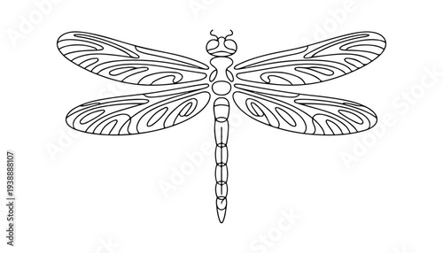 One continuous line illustration of an dragonfly , isolated on white background.